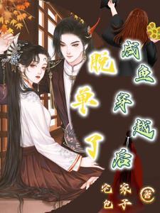 主人叶不凡
