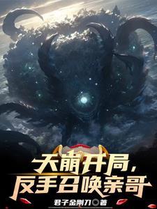 夏无极叶君