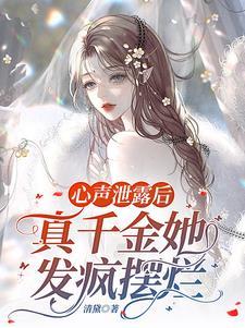 夏灿个人资料简介